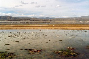 Lluvias hacen renacer al Lago Poopó en Bolivia | The Epoch Times en español