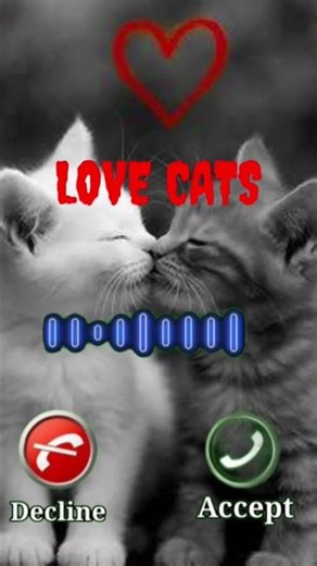 2026 Trending Cat Meow Ringtones! Best Funny & Cute MP3 Ringtones 🐾