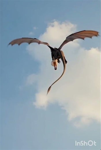 dragon animation
