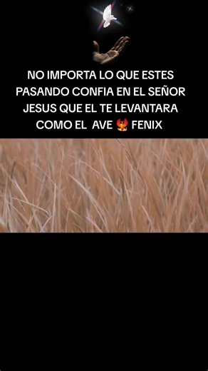 Confía en el Señor: Alabanza y Fortalezas Cristianas