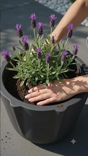 How to Make a Concrete Towel Planter Easy DIY Garden Hack! 🪴