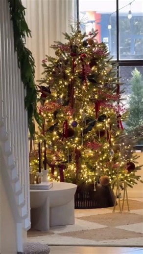 King of Christmas - 7.5' Silverpeak Fir with 3400 Warm White & Multicolor Twinkle Lights