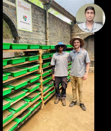 How we started worm farming from small, and how you can start too#Vermiculture #vermicomposting #earthworms #startup | The Compost Kitchen