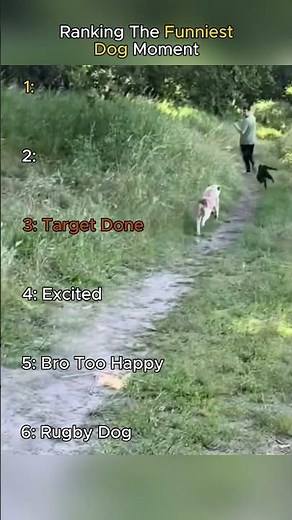 Top Funniest Dogs Moment Caught on Camera 😂