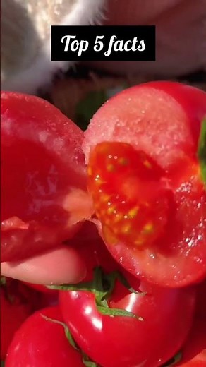 Kitchen Hacks That Actually Work 🤯 | 5 Smart Tips You Must Try