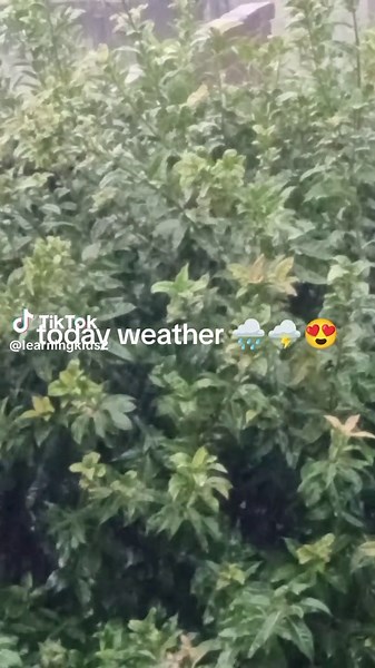 #weather #rain #foryou #viral