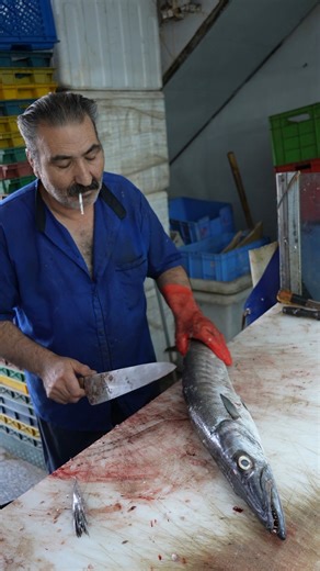 From Skin to Fillet: Done Before You Blink