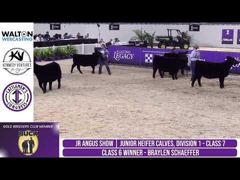 2026 Cattleman's Congress - Junior Angus Breeding Heifer Show