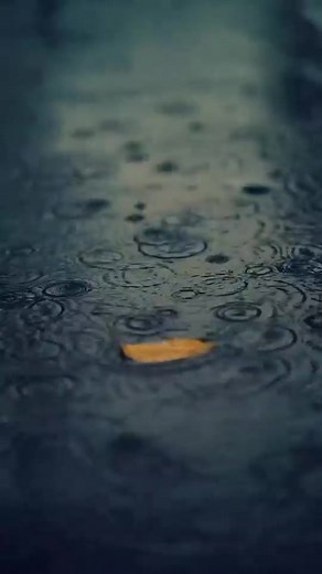 Poetry Background Videos in 4K Resolution