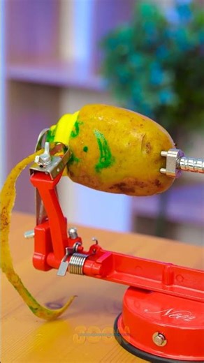 Funny Potato Moments You Can’t Miss 🥔🤣