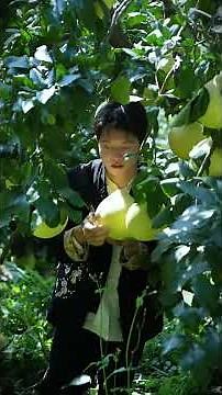 Winter's First Wild Vegetable Hotpot: Harvesting Greens And Pomelos For A Hearty Seasonal Feast!