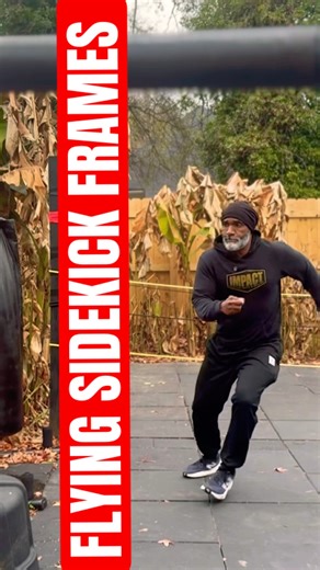 FLYING SIDEKICK FRAMES #martialarts #frames #howto