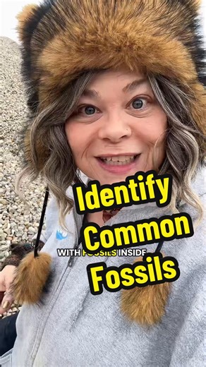 How to Identify Common Fossils: A Fun Guide