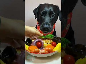 Too Cute to Handle! 🐶 Cutest & Funniest Dog Shorts Compilation Ever!