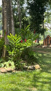 Qué hermoso es este lugar la La Tiendita VNV🤩😱 #Tabasco #Teapa | Frases chocas