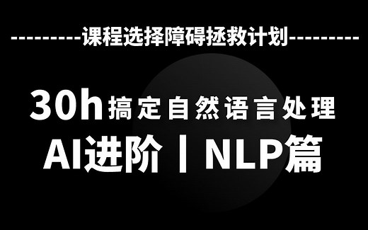 4-4 BERT使用实战讲解..mp4