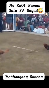 Mahiwagang Sabong #sabongero #sabongnation #cockfight #sabongislife | Robert Arnado