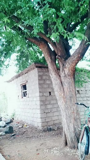 comedy star gaana on TikTok