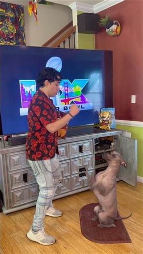 Teaching DOG Bad Bunny’s dance For SUPER BOWL with DORITOS