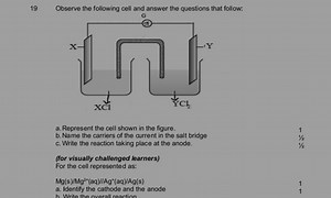 19 Observe the following cell and answer the questions that fol... | Filo