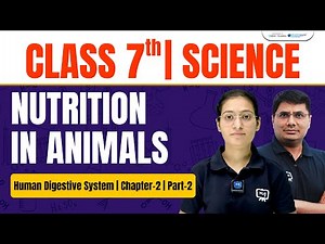 Nutrition in Animals Class 7 Science | Class 7 Science Chapter 2 Explanation | NCERT | CBSE
