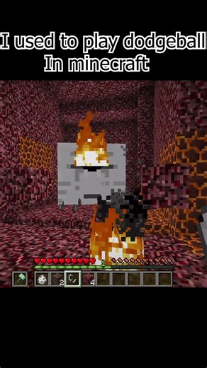 I used to play dodgeball in minecraft with no friends #likeandsubscribe