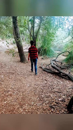 Walks in the woods | Deborah Presley Brando | Facebook