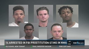 FBI makes 14 arrests in Ark. prostitution sting