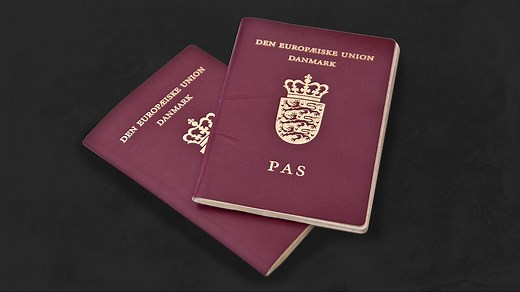 Test dig selv: Kan du blive dansk statsborger?