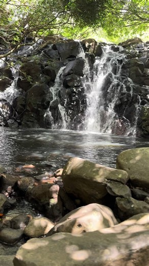 Discover the Serenity of Waterfalls in Mauritius