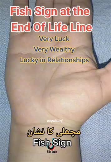 The Art of Hand Reading: Understanding Your Palm Lines