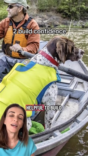 2.3K views · 26 reactions | Does your dog wear a life jacket around...