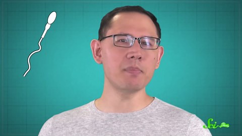 9 of the weirdest sperm adaptations