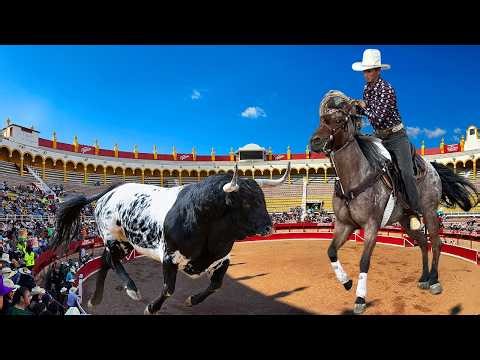LOS MAS RAPIDOS DEL JARIPEO -TOROS BRAVOS BUSCA CABALLOS! JARIPEO MONUMENTAL DE MORELIA 2026 PARAISO
