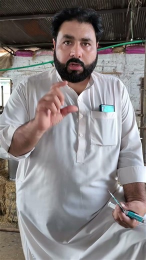 How to Use IMM tube ! Mastitis and treatment! Dr Inam Khan
