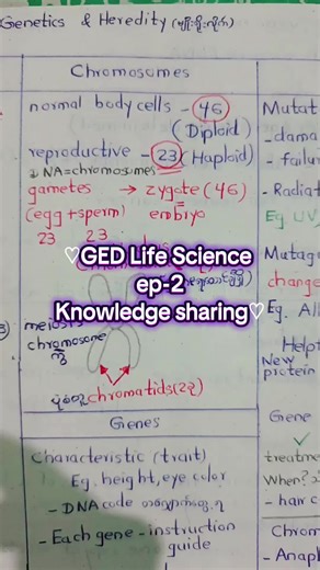GED Life Science 🧪 notes >> ep-2 #ged #knowledgesharing #foryou #gedscience #chromosomes #study