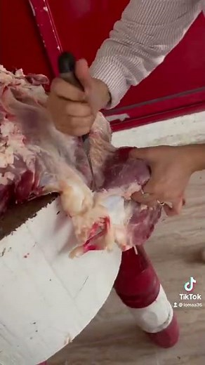 الفيديو اللي طلعني تريند في ٢٠٢٠ 🥩🔪