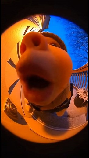 131K views · 8.1K reactions | hellooo #funnymoments #baby #snow #memes #funnyreelss #reelschallengereelschallenge #reelschallengereelschallengereelschallengereelschallenge #trendingpost #TopFans #todaybestphotochallenge #army #viralreelschallenge2025viralreelschallengejaiviralreelschallengeviralreelschallenge #viralreelschallenge #fypシ゚viralシfypシ゚viralシalシ | Worker’s Banter | Facebook