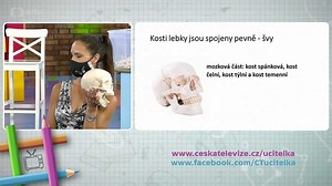 UčíTelka (5. tř.): Lidské tělo: kostra - ČT edu - Česká televize