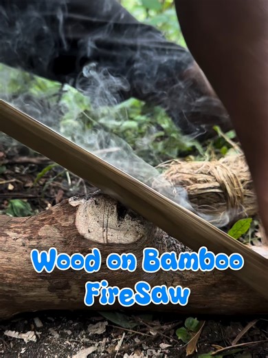 Essential Survival Skills for Americans