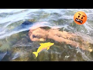 swimming river || my first vlog today || first vlog || daily first vlog