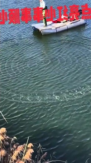 fishing and eating videos #fishing #net #bassfishing