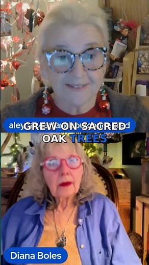 Evergreens: Symbols of Endurance and Life in Winter