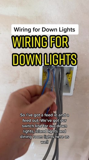 Wiring for Down lights #electrician #sparky #tradesman #learnontiktok #tradesman