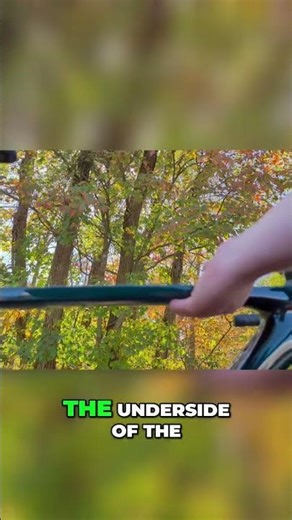 Trek Bike Storage: Mounts Everywhere for Your Gear! #shorts