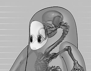 Fall Guys' Deeply Disturbing Lore Explained | Den of Geek