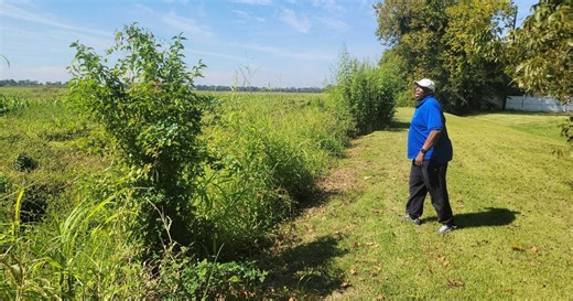With its first steps done, this project is already protecting Baton Rouge homes from flooding