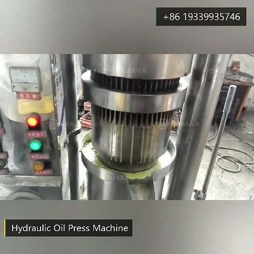 Large Edible Oil Extraction Machine Avocado Hydraulic Oil Pressing Machine