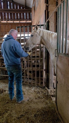 Johnny Cook on Reels | Facebook