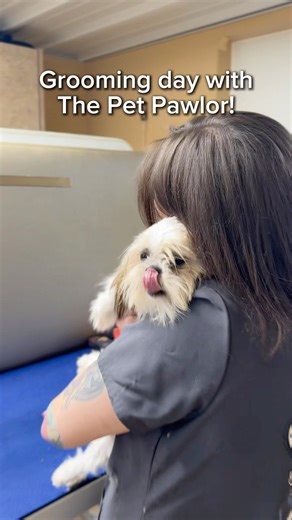 ✨ Transformation Tuesday ✨ This incredible glow-up is all thanks to the amazing team at The Pet Pawlor! These lovely ladies came out last week and provided beautiful grooms for 10 of our dogs. For many of these pups, it was the very first groom of their lives — and The Pet Pawlor team made sure their first experience was gentle, positive, and full of care. 🐾💗 We are so incredibly lucky that they regularly donate their time and talent to help our dogs look and feel their very best. Their patien